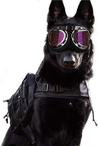 SEIS Dog Windproof Glasses Large Dog Sunglasses Pet Folding Winter Windproof Sunglasses Sled Dog Goggles (Colorful+ White) in Saudi Arabia