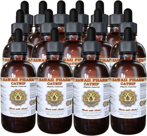 Catnip Liquid Extract, Organic Catnip (Nepeta Cataria) Tincture Supplement 2 oz in Saudi Arabia