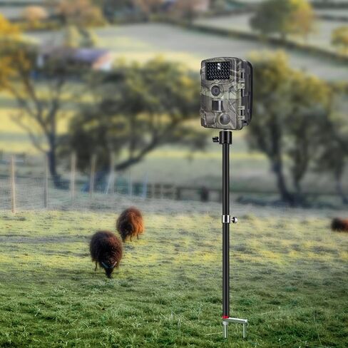 Game & Trail Camera Mount, 3 in 1 Aluminum 360 Degree Rotation Trail Camera Stand Mount Ground Holder, Thread Connection 1/4''-20 (6 mm) for Hunting Cameras, Night Fishing Light etc.(1 Pack) in Saudi Arabia