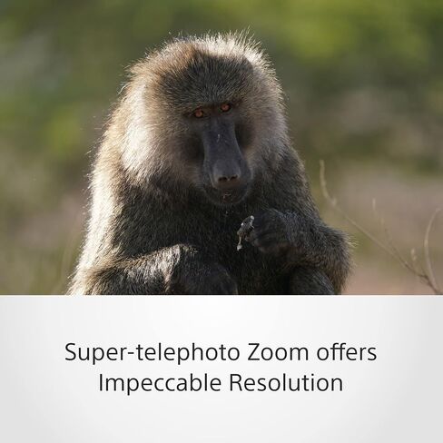Sony SEL200600G High-Resolution Full Frame Super Telephoto Zoom G Lens with Built in Optical Image stabilisation, SEL200600G.SYX (Renewed) in Saudi Arabia
