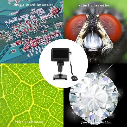 مجهر رقمي عالي الدقة مقاس 5 بوصات، تكبير 500X-1000X، دقة 2 ميجابكسل، 8 مصابيح LED قابلة للتعديل للعملات المعدنية والطوابع والنباتات واللحام وشاشة عرض 1080 بكسل in Saudi Arabia