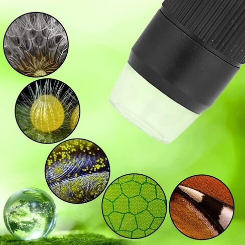 مجهر رقمي عالي الدقة مقاس 5 بوصات، تكبير 500X-1000X، دقة 2 ميجابكسل، 8 مصابيح LED قابلة للتعديل للعملات المعدنية والطوابع والنباتات واللحام وشاشة عرض 1080 بكسل in Saudi Arabia