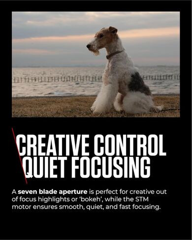 Exascend 512GB Element CFexpress Card Type B, Sustained Read 1,800MB/s, Compatible with Canon, Nikon, Panasonic and Other Cameras. in Kuwait