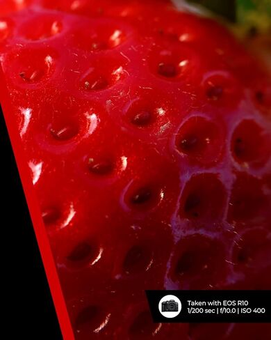 Exascend 512GB Element CFexpress Card Type B, Sustained Read 1,800MB/s, Compatible with Canon, Nikon, Panasonic and Other Cameras. in Kuwait