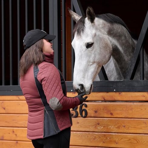 سترة الفروسية المبطنة Stablemate للنساء من Kerrits - معطف الحظيرة متين وأنيق ومعزول قليلاً مع ألواح مطاطية in Saudi Arabia