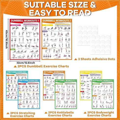 gisgfim 8PCS Workout Posters for Home Gym Dumbbells, Bodyweight, Stretching, Kettlebell Exercise Chart Full Body Fitness Workout Poster Set Muscle Engagement Chart Garage DecorGym Accessories in Saudi Arabia