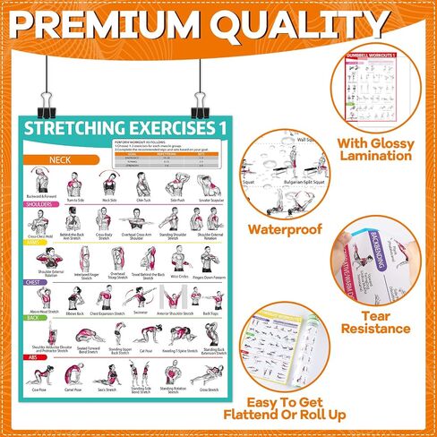 gisgfim 8PCS Workout Posters for Home Gym Dumbbells, Bodyweight, Stretching, Kettlebell Exercise Chart Full Body Fitness Workout Poster Set Muscle Engagement Chart Garage DecorGym Accessories in Saudi Arabia