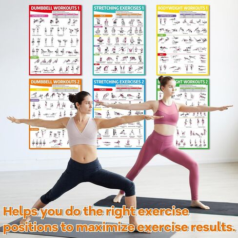 gisgfim 8PCS Workout Posters for Home Gym Dumbbells, Bodyweight, Stretching, Kettlebell Exercise Chart Full Body Fitness Workout Poster Set Muscle Engagement Chart Garage DecorGym Accessories in Saudi Arabia