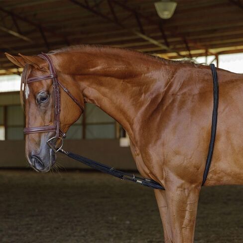Dura-Tech Schneiders Lunging Aid | Enhance Horse Training & Collection Techniques | Color Black in Saudi Arabia