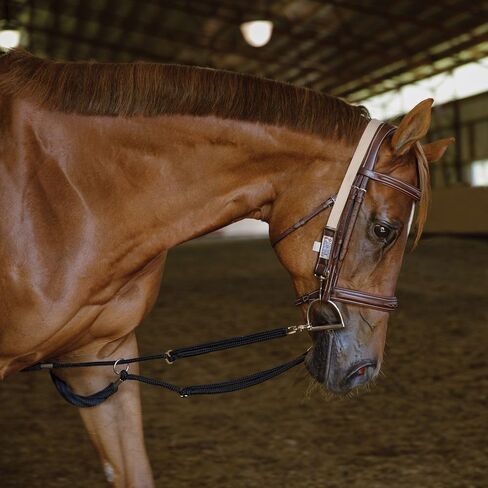 Dura-Tech Schneiders Lunging Aid | Enhance Horse Training & Collection Techniques | Color Black in Saudi Arabia