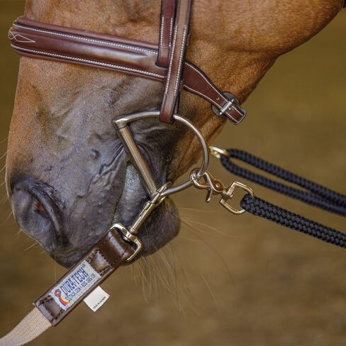 Dura-Tech Schneiders Lunging Aid | Enhance Horse Training & Collection Techniques | Color Black in Saudi Arabia