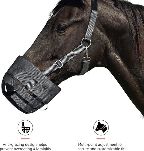 كمامة رعي الخيول BARN & Stable لسهولة التنفس، كمامة مريحة لرعي الخيول مع أشرطة قابلة للتعديل، وأبازيم، مناسبة للوقاية من التهاب الصفيحة in Kuwait