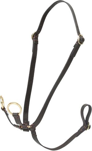 LeMieux Hobby Horse Running Martingale - أسود - جلد ناعم - قابل للتعديل - مناسب للأعمار من 3 سنوات فما فوق in Saudi Arabia
