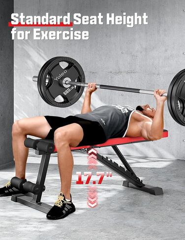 Adjustable Weigh Bench, Workout Bench for Home Gym, Adjustable & Foldable Workout Bench, Bench Press Sit up Incline Flat Decline (Black) in Saudi Arabia