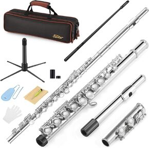 Eastar Closed Hole 16 Keys Flute for Beginner Kids Student with Cleaning Kit, Stand, Case, Gloves, Tuning Rod, Nickel, EFL-1 in Kuwait