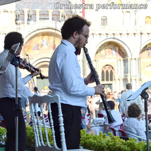 Bb Clarinet For Beginners Students B Flat Clarinet 17 Keys Clarinets with Case Stand Strap 2 Barrels 8 Mouthpiece Cushion White Gloves Cleaning Kit (Black) in Kuwait