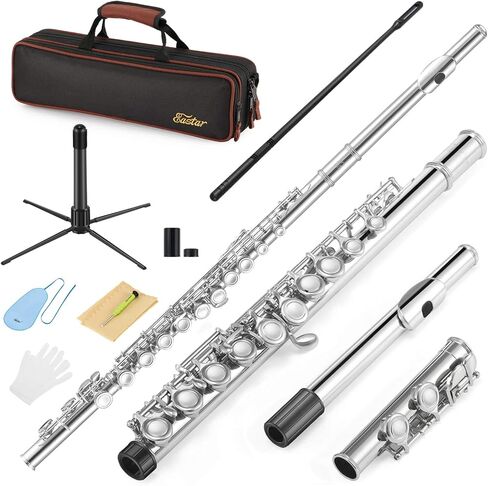 Eastar Closed Hole 16 Keys Flute for Beginner Kids Student with Cleaning Kit, Stand, Case, Gloves, Tuning Rod, Nickel, EFL-1 in Kuwait
