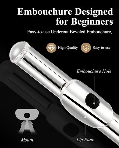 Eastar Closed Hole 16 Keys Flute for Beginner Kids Student with Cleaning Kit, Stand, Case, Gloves, Tuning Rod, Nickel, EFL-1 in Kuwait