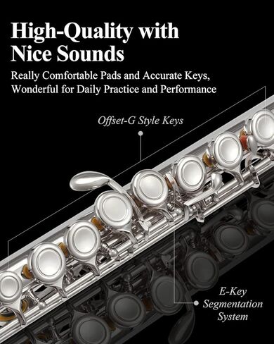 Eastar Closed Hole 16 Keys Flute for Beginner Kids Student with Cleaning Kit, Stand, Case, Gloves, Tuning Rod, Nickel, EFL-1 in Kuwait