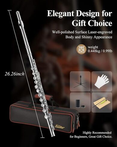 Eastar Closed Hole 16 Keys Flute for Beginner Kids Student with Cleaning Kit, Stand, Case, Gloves, Tuning Rod, Nickel, EFL-1 in Kuwait