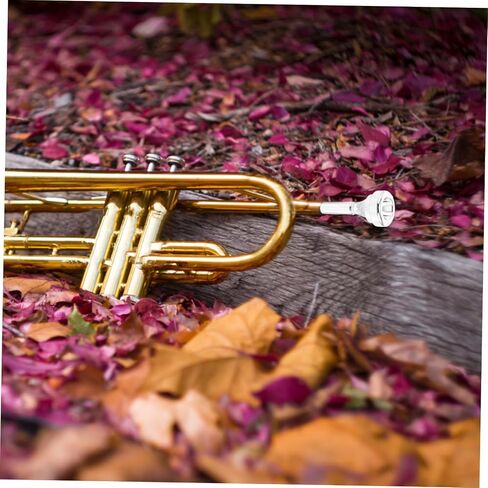 Toyvian Cornet Mouthpiece for Beginners Metal Replacement Accessory Produces Rich Sound and Comfortable Playing in Saudi Arabia