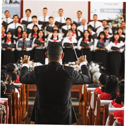 TOYANDONA Stainless Steel Music Conducting Baton Adjustable 1-Piece Lightweight Orchestra Tool for Choral Performance Reliable Rhythm Wand Accessory in Saudi Arabia