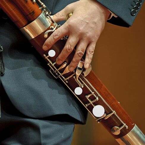 Garneck 24Pcs Bassoon Pads for Sound Hole: Sheepskin Gaskets for Tight Seals and Anti-Vibration Bassoon Instrument Repair Accessories,White in Saudi Arabia