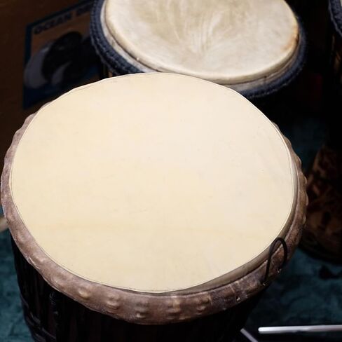 HANABASS Goat Skin Drum Head for African Djembe Tear Resistant Replacement Skin Unique Acoustic Properties for Percussion Instruments for Djembe Repair and Musical in Saudi Arabia