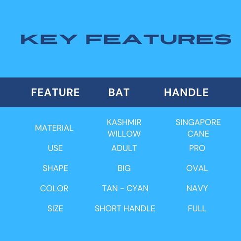 Titan Grade 1 Kashmir Willow Atlas Cricket Bat, Premium Handcraft Design, Rubber Grip, Concave Back Profile, Semi-Round Bottom, Full Size, Two Heavy Tennis Balls Free - Grade 1 Willow Cricket Bat in Saudi Arabia