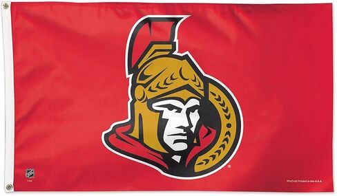 Wincraft NHL Deluxe Flag in Saudi Arabia