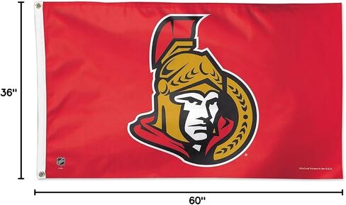 Wincraft NHL Deluxe Flag in Saudi Arabia