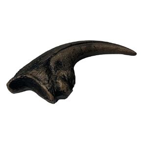 5.1 inches Nanotyrannus Dinosaur Life Size Foot Claw Fossil Replica