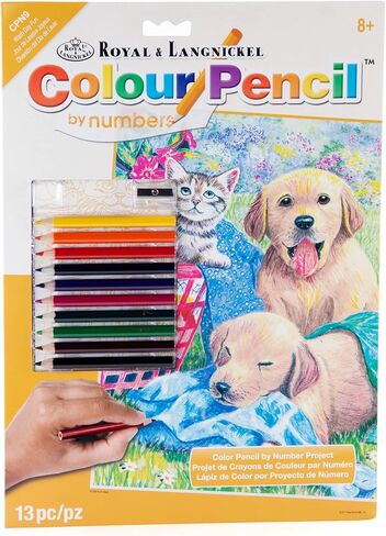Royal and Langnickel Colour by Number Pencil, Tropical Fish in Saudi Arabia