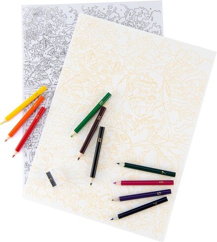 Royal and Langnickel Colour by Number Pencil, Tropical Fish in Saudi Arabia