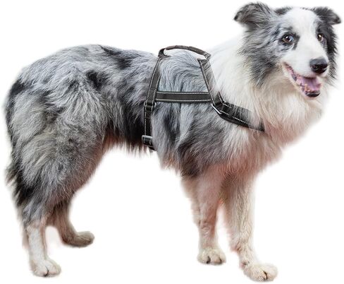 SATSUN Dog Harness for Large Dogs, No Pull Dog Harness with 2 Adjustable Points & 1 Leash Clip, Reflective Comfortable Dog Vest with Easy Control Handle Ideal for Walking and Training, Black,L in Saudi Arabia