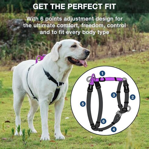 LufeLux Easy Walking and Training No Pull Dog Harness, Non-Restrictive Harness with Neck Buckle, Nylon Webbing, Aluminum D-Rings, 6 Points Adjustment for Ultimate Fit (Black/Grey, Medium) in Saudi Arabia