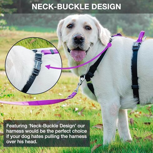 LufeLux Easy Walking and Training No Pull Dog Harness, Non-Restrictive Harness with Neck Buckle, Nylon Webbing, Aluminum D-Rings, 6 Points Adjustment for Ultimate Fit (Black/Grey, Medium) in Saudi Arabia