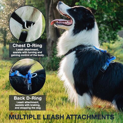 LufeLux Easy Walking and Training No Pull Dog Harness, Non-Restrictive Harness with Neck Buckle, Nylon Webbing, Aluminum D-Rings, 6 Points Adjustment for Ultimate Fit (Black/Grey, Medium) in Saudi Arabia
