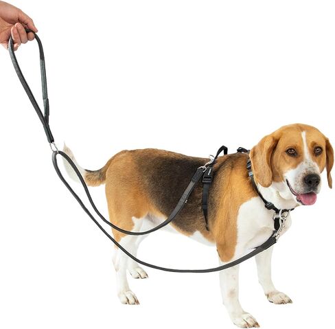 LufeLux Easy Walking and Training No Pull Dog Harness, Non-Restrictive Harness with Neck Buckle, Nylon Webbing, Aluminum D-Rings, 6 Points Adjustment for Ultimate Fit (Black/Grey, Medium) in Saudi Arabia