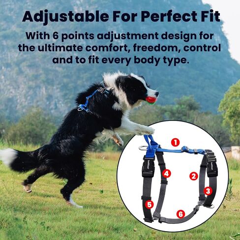 LufeLux Easy Walking and Training No Pull Dog Harness, Non-Restrictive Harness with Neck Buckle, Nylon Webbing, Aluminum D-Rings, 6 Points Adjustment for Ultimate Fit (Black/Grey, Medium) in Saudi Arabia