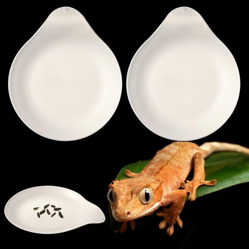 Opstin قطعتان من وسادة نونية الفهد جيكو، مرحاض/صواني قعادة جيكو، صندوق فضلات أبو بريص المتوج، وسادات نونية الزواحف، ملحقات ليوبارد جيكو in Kuwait