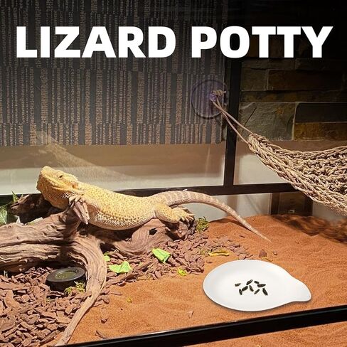 Opstin قطعتان من وسادة نونية الفهد جيكو، مرحاض/صواني قعادة جيكو، صندوق فضلات أبو بريص المتوج، وسادات نونية الزواحف، ملحقات ليوبارد جيكو in Kuwait