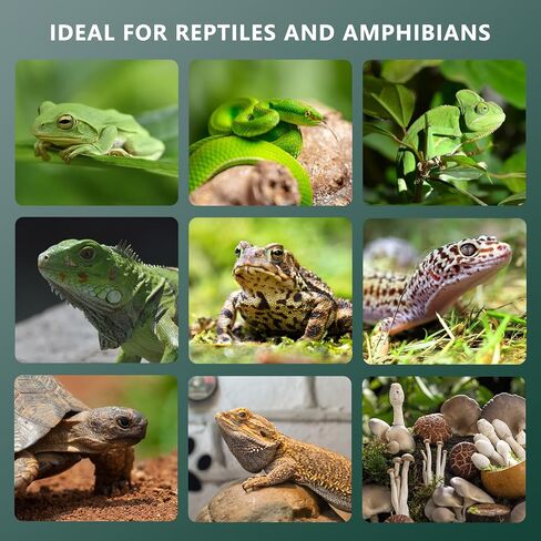 مرطب إنكبيرد بلس للزواحف العلوية، 3 لتر، حجم كبير، تشغيل فائق الجودة، سهل التنظيف، مثالي لزواحف فيفاريوم، أعشاب البرمائيات، أخضر قديم (خرطوم غير متضمن) in Kuwait