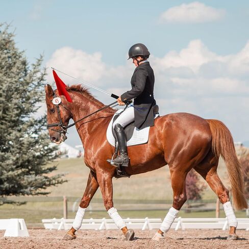 Generic Equestrian 5PCS Horse Training Flag, 5 Colors, 17.1x17.1 inches (flag), 63 inches (flagpole), Nylon, Horse Training Equipment in Saudi Arabia