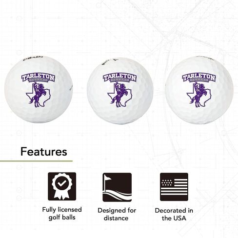 Desert Cactus Tarleton State University Golf Balls 3 Pack Full Color Golf Ball (Design B) in Saudi Arabia