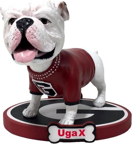 UGA X Georgia Bulldogs Live Mascot Bobblehead College in Saudi Arabia