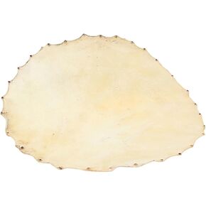 طبل الجلد طبل أفريقي استبدال الجلد أداة ملحق خفيفة الوزن جلد الغنم نمط عشوائي in Kuwait