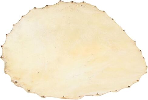 طبل الجلد طبل أفريقي استبدال الجلد أداة ملحق خفيفة الوزن جلد الغنم نمط عشوائي in Kuwait