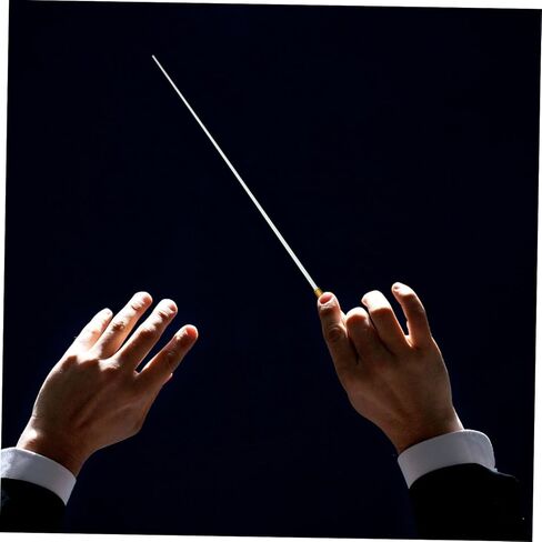 موصل موسيقى احترافي، أداء متين للحفلات الموسيقية والاستعراضات والفنون، يسهل حمله للموصلات والعروض in Kuwait