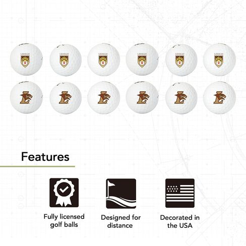 Desert Cactus Lehigh University Dozen Golf Balls - Full Color 12 Pack, LU Mountain Hawks Officially Licensed Gear in Saudi Arabia